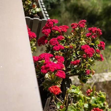 Luxury In Halepa Apartment *