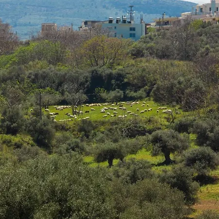 Appartamento Luxury In Halepa