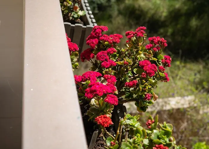 Luxury In Halepa Daire *