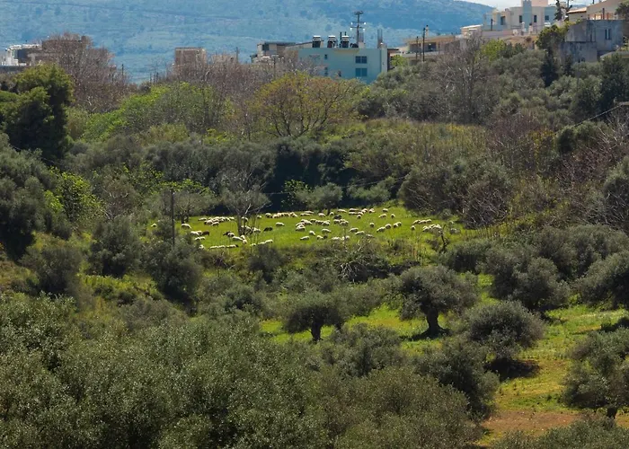 Appartamento Luxury In Halepa